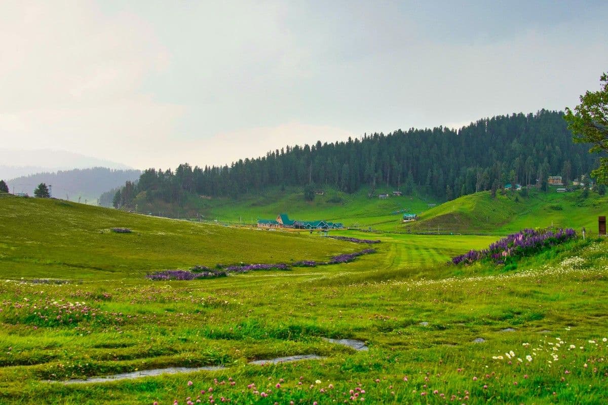 7 Days of Kashmir Alpine Retreat 
