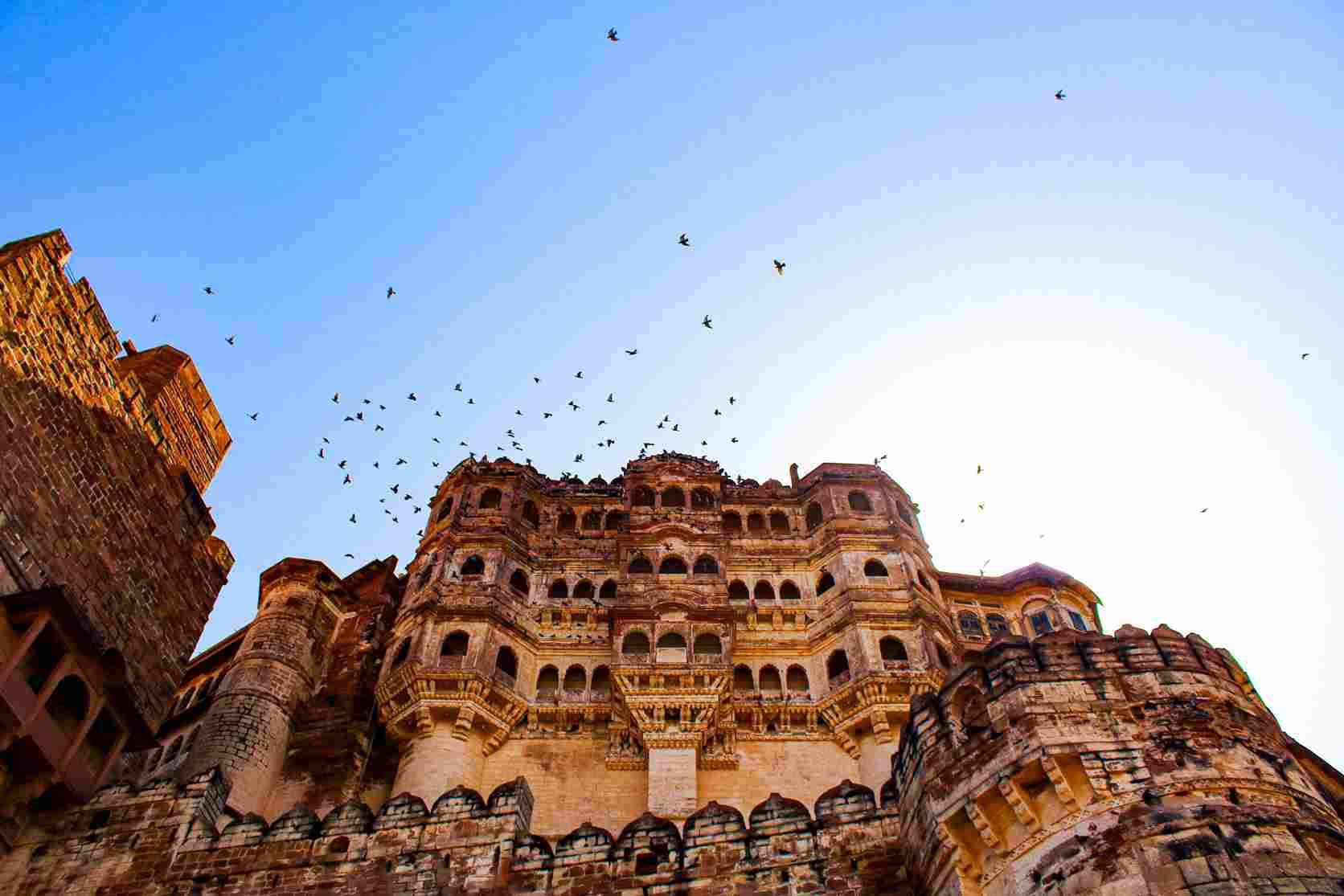 Deluxe Rajasthan 8-Day Royal Odyssey