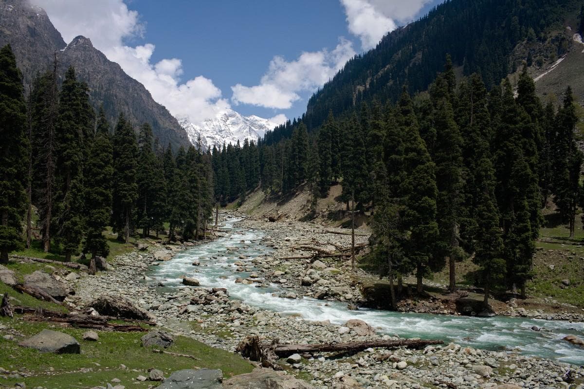 Pahalgam Alpine Escape: 3 Nights Deluxe Stay