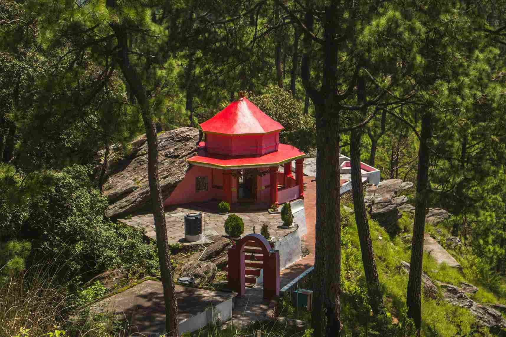 Image 3