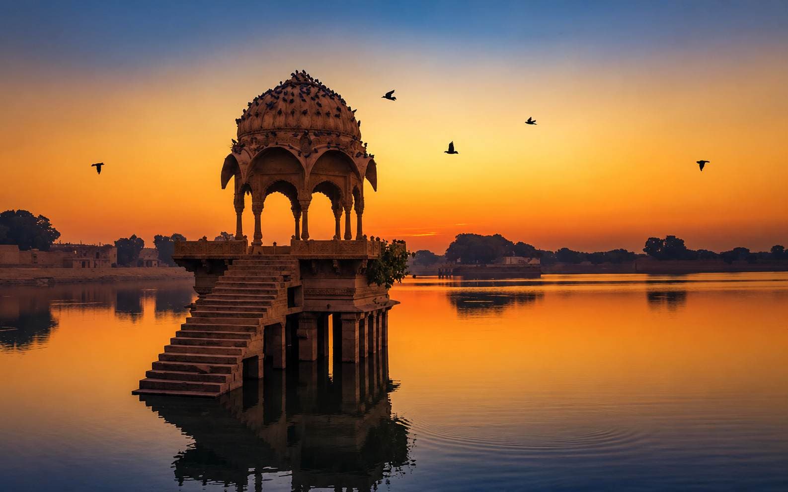 Rajasthan 7-Day Standard Holiday
