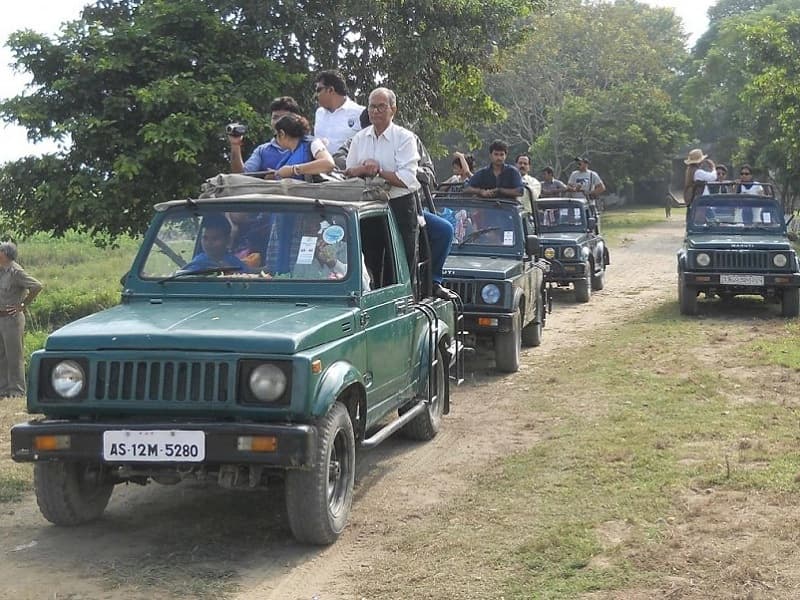 Jeep Safari || Kaziranga || Assam