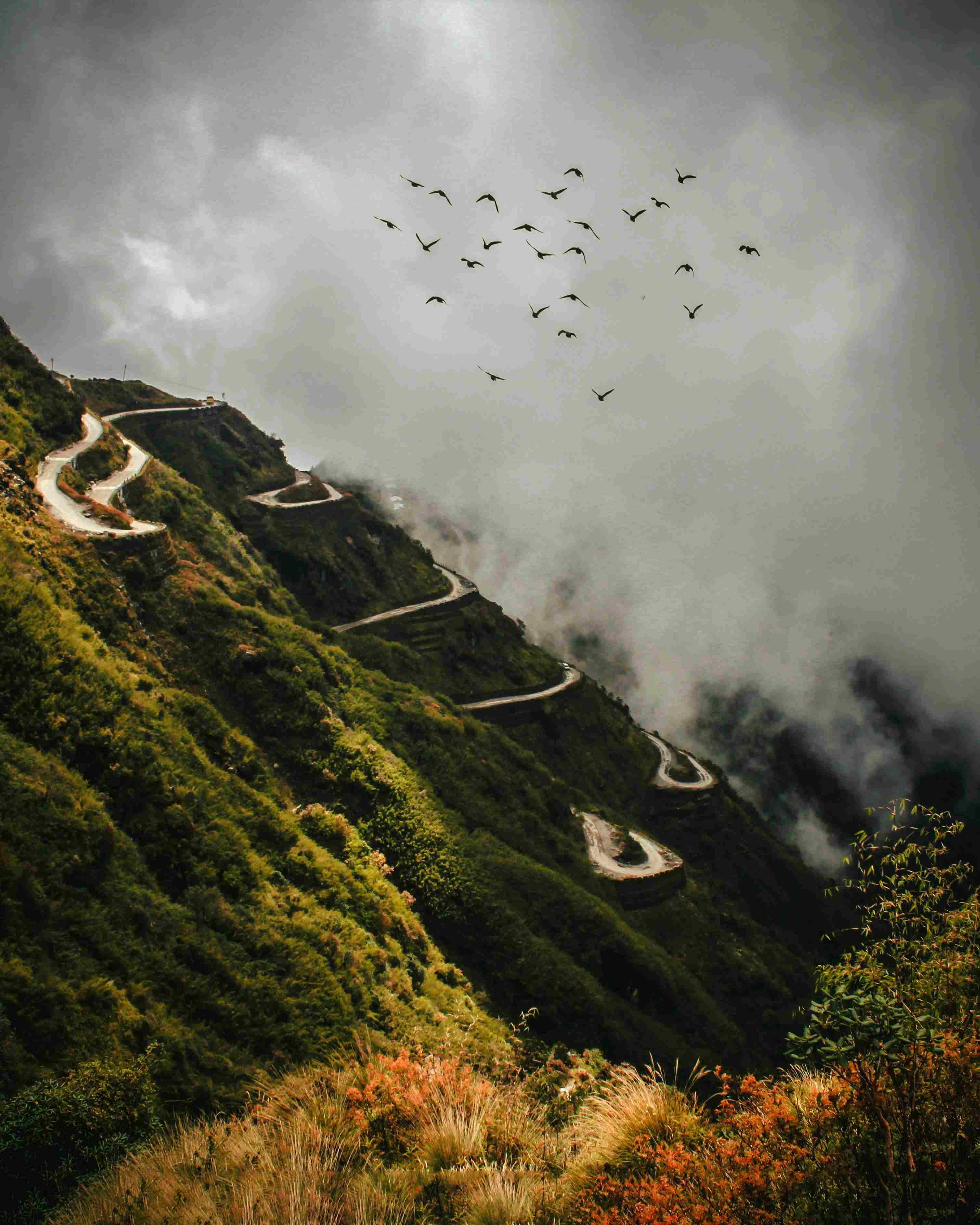 Majestic North Sikkim Adventure || 7N/8D