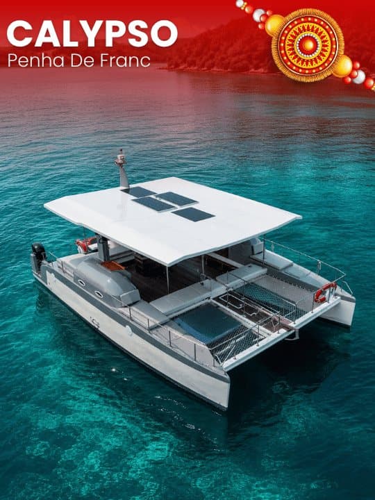 Calypso Catamaran Experience in Goa