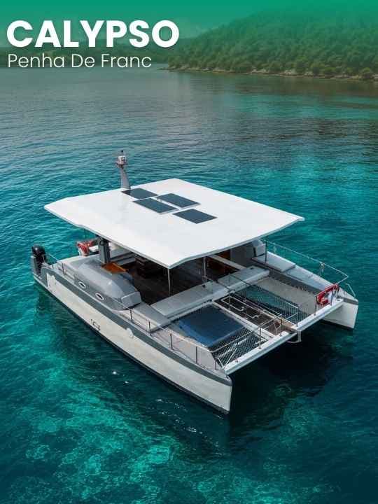 Calypso Catamaran Experience in Goa